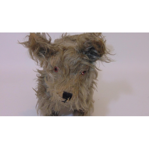 66 - 1930's toy dog by Merrythought with gold fur, stitched mouth and nose, glass eye (one missing), heig... 