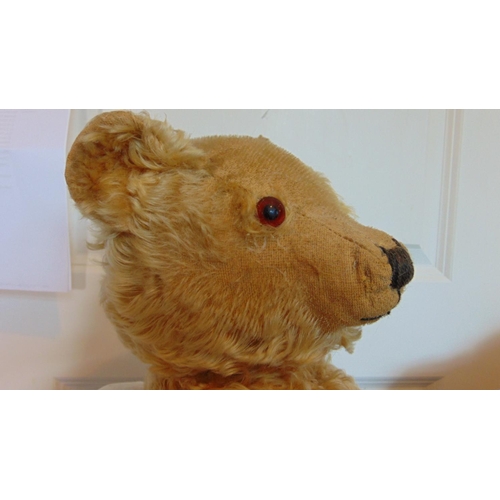 71 - 3 vintage teddy bears, probably by Chiltern, all with golden fur, stitched nose, mouth and claws, lo... 