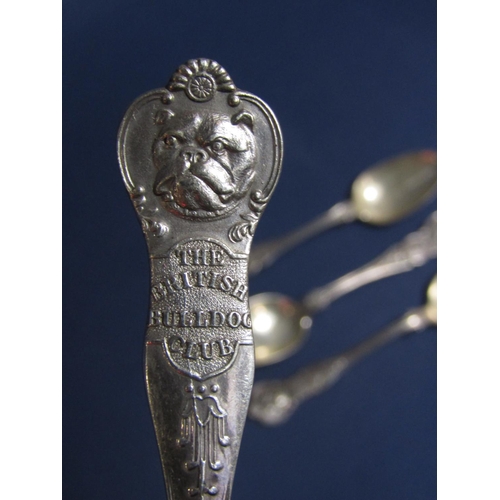 1166 - Set of four silver Bristol and West of England Bulldog Club and British Bulldog Club dessert spoons,... 