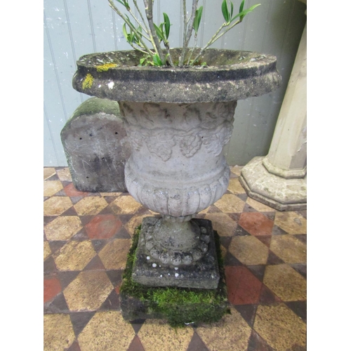 2095 - A weathered cast composition stone campana shaped garden urn with raised grape and vine detail, part... 