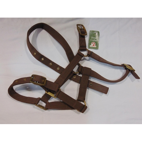 1870 - Collection of leather saddlery and horse grooming items including bag full of bridle components and ... 