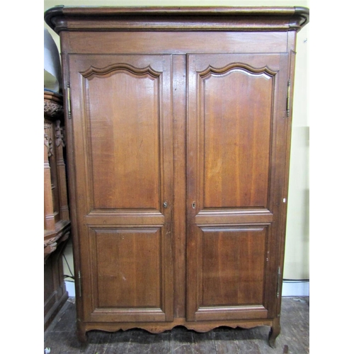 2669 - A substantial 18th century oak armoire carved and panelled framework enclosed by two doors each encl... 