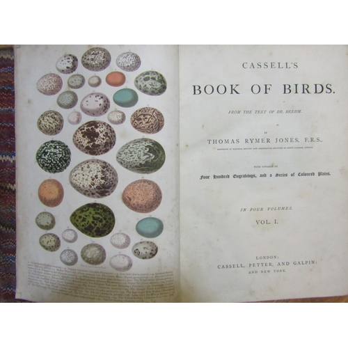 375 - Cassell's Book Of Birds by Thomas Rymer Jones (in four volumes), published by Cassell Petter & Galpi... 