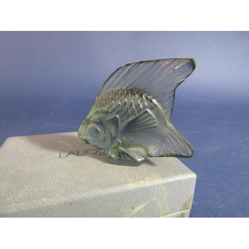 1180 - Lalique glass mascot in the form of a fish, signed Lalique France to plinth base, with original pouc... 