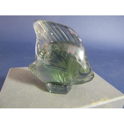 1180 - Lalique glass mascot in the form of a fish, signed Lalique France to plinth base, with original pouc... 