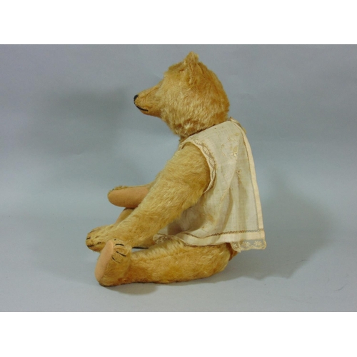 127 - Early 20th century teddy bear by Steiff with pin in ear, light brown fur, pronounced snout, stitched... 