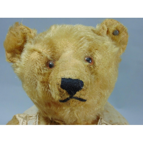 127 - Early 20th century teddy bear by Steiff with pin in ear, light brown fur, pronounced snout, stitched... 