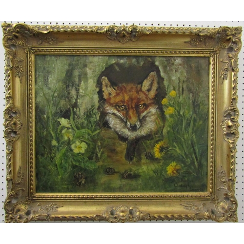 249 - Clodagh Cravos (20th century British) - Study of a Fox amongst Dandelions and Primroses, oil on canv... 