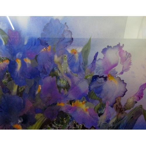 264 - Charmaine Williamson (British contemporary) - Purple Iris, gouache on paper, signed, 32.5 x 45cm, to... 