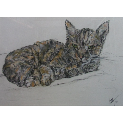 277 - 20th/21st century British school - Collection of cat studies in charcoal and pastel, all indistinctl... 