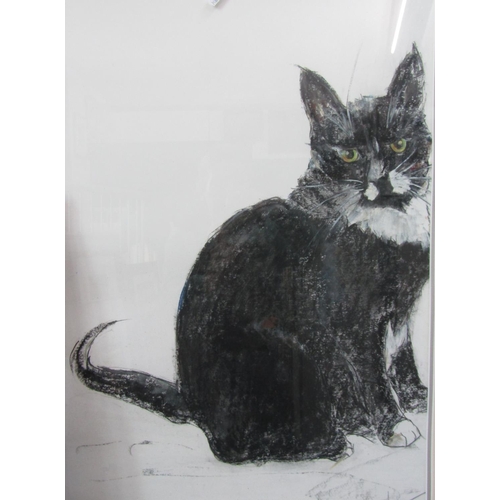 277 - 20th/21st century British school - Collection of cat studies in charcoal and pastel, all indistinctl... 