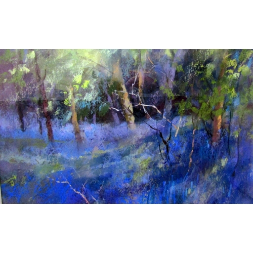 286 - Jane Lampard (Contemporary local artist) - April Morning, Westridge Woods, pastel on paper, signed, ... 