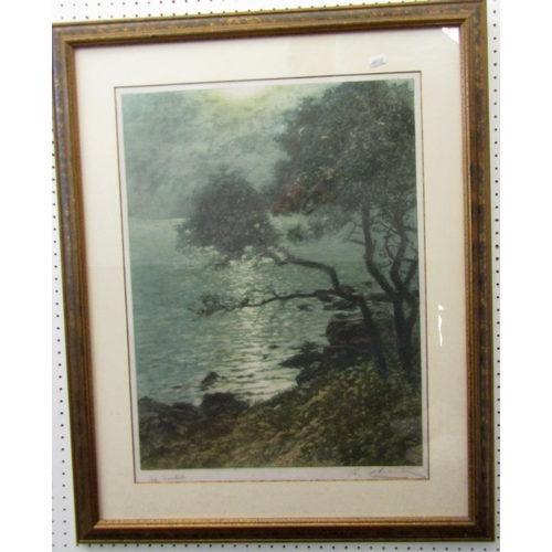 288 - Early 20th century continental school - Moonlit coastal scene with trees, signed coloured etching, i... 