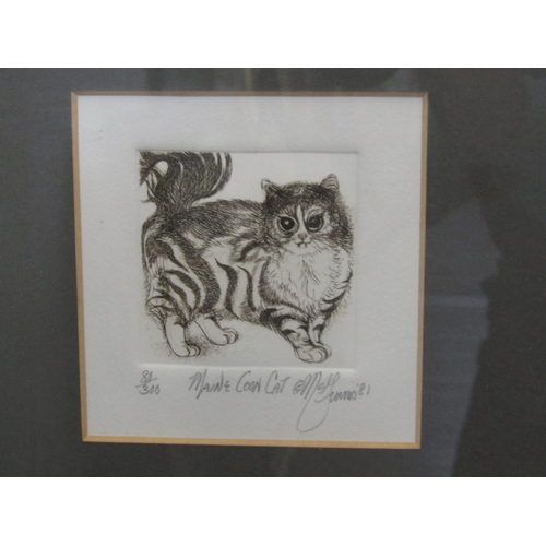 296 - A collection of six various signed monochrome etchings of cat subjects artists include Gilbert, Liss... 