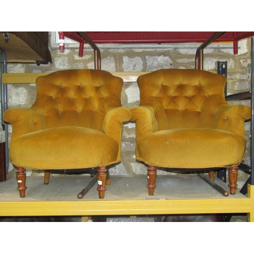 2321 - A pair of Victorian drawing room chairs with shaped outline, mustard coloured upholstered finish wit... 