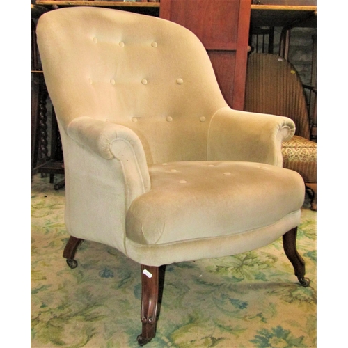 2337 - A 19th century spoonback drawing room chair with rolled arms, simple buttoned cream upholstery and r... 