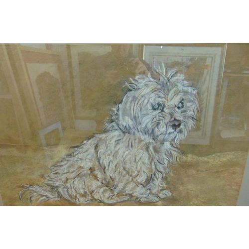 305 - Contemporary British School - Study of a white terrier, charcoal and pastel on paper, signed with in... 