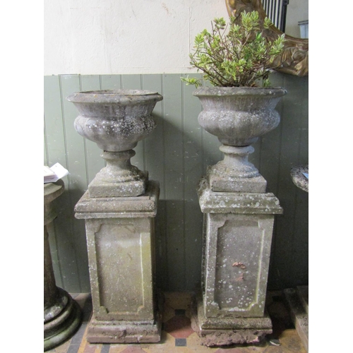 2065 - A pair of reclaimed garden urns of circular tapered and lobbed form with stepped sockles raised on s... 