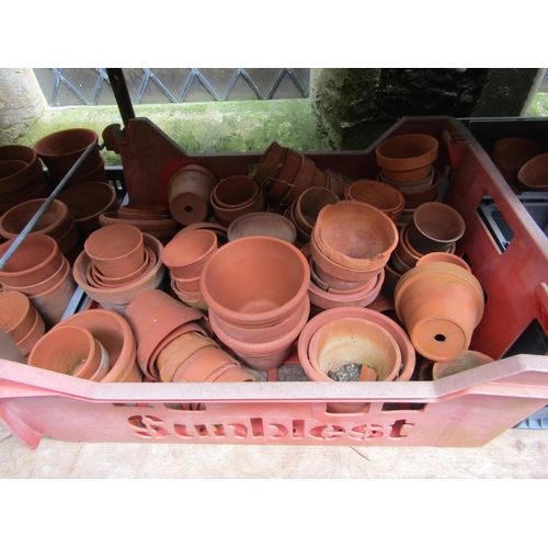 2066 - A large quantity (100+) reclaimed terracotta flower pots of varying size, a number weathered (af)