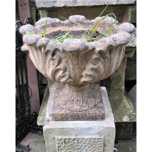 2074 - A reclaimed garden urn with acanthus leaf bowl and combined socle, raised on an associated square cu... 