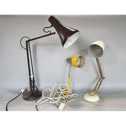 701 - A mixed lot to include a Habitat Maclamp, an anglepoise lamp, a snake lamp (3)