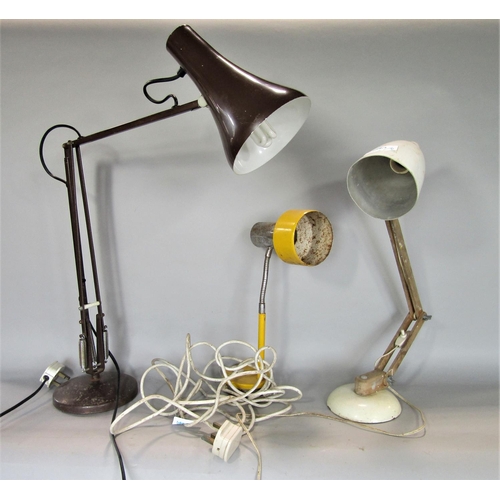 701 - A mixed lot to include a Habitat Maclamp, an anglepoise lamp, a snake lamp (3)