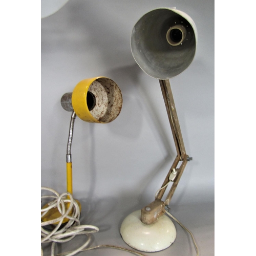 701 - A mixed lot to include a Habitat Maclamp, an anglepoise lamp, a snake lamp (3)