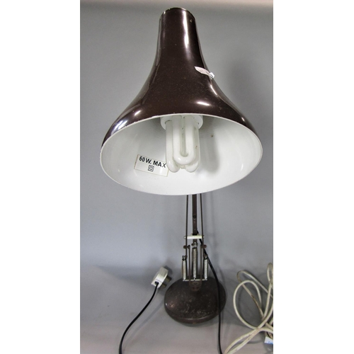 701 - A mixed lot to include a Habitat Maclamp, an anglepoise lamp, a snake lamp (3)