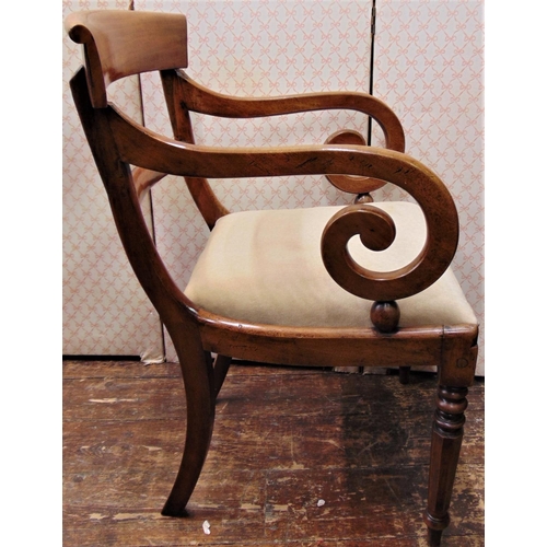 2153 - A Georgian mahogany elbow chair with scrolled arm and drop-in seat on tapering octagonal supports