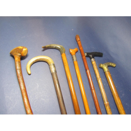 514 - Mixed collection of walking sticks to include two Sunday sticks, two horn handled examples, a bamboo... 