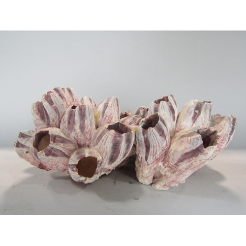 536 - A purple barnacle cluster, 31 cm max