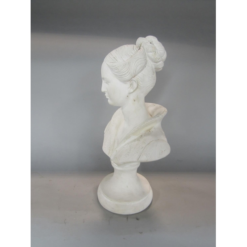 541 - A plaster bust of a classical lady, 36 cm high