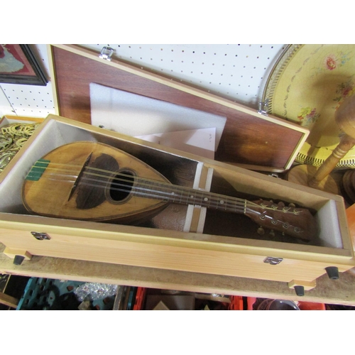 556 - Cased Italian bowl back mandolin by F D Mureda in a good quality bespoke made pine box (2)