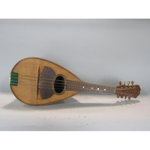 556 - Cased Italian bowl back mandolin by F D Mureda in a good quality bespoke made pine box (2)