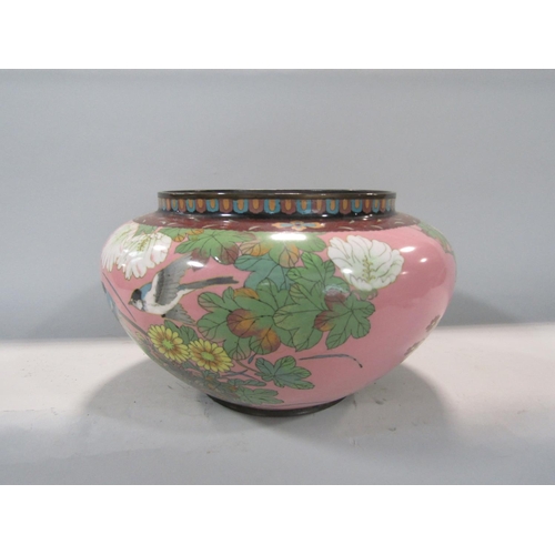 612 - Japanese cloisonné baluster jardinière decorated with birds and foliage upon a pink ground, 31cm dia... 