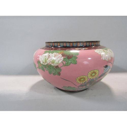 612 - Japanese cloisonné baluster jardinière decorated with birds and foliage upon a pink ground, 31cm dia... 