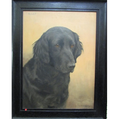 708 - Florence Mabel Hollands (British 1877-1963) - Study of the head of a black flat coat retriever, oil ... 