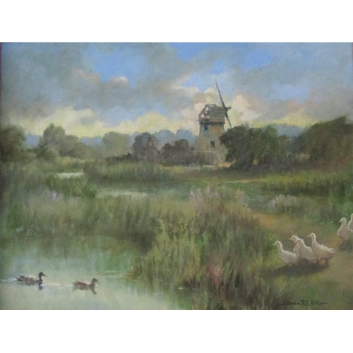 768 - Norman R Coker, (British B. 1927) - Marshland landscape with ducks and windmill, oil on board, signe... 