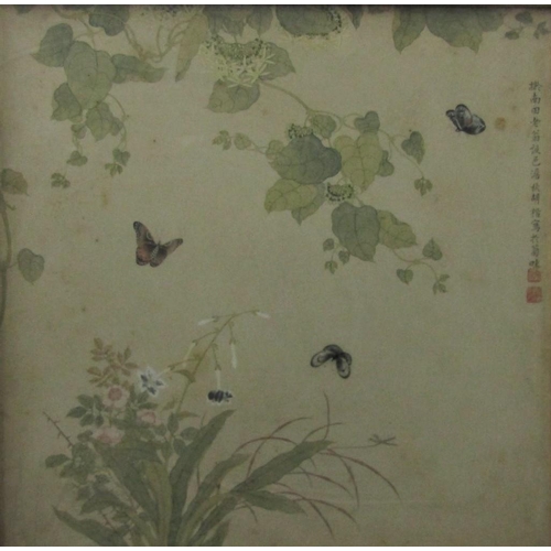 785 - 19th century school, a study of butterflies and foliage, watercolour? on paper with inscription to r... 