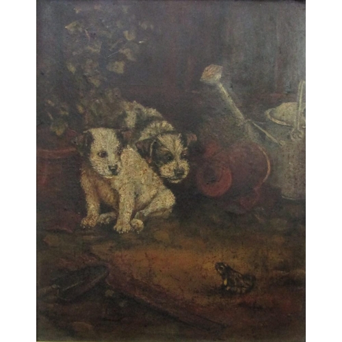 786 - Late 19th century school, humorous study of puppies and a frog in a garden scene beside a watering c... 