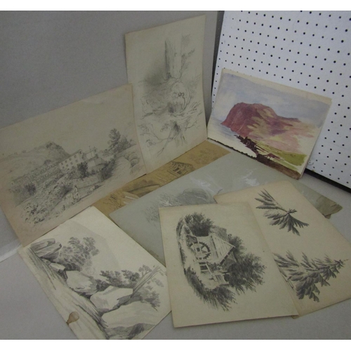 795 - Clara Phelps (19th century British school) - A collection of drawings of landscapes, trees, etc, pen... 