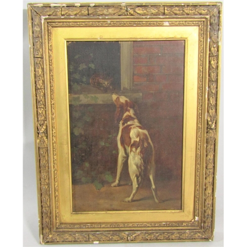 246 - 19th century British school - Study of a brown and white setter type dog confronting a cat in a wind... 