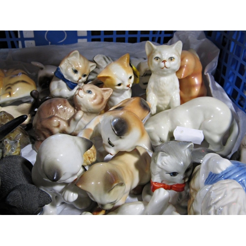 1117 - A collection of small ceramic models of cats and mice, together with a collection of various pill bo... 