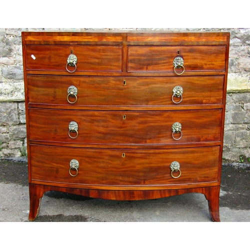 2727 - Regency mahogany bow fronted chest of three long and two short drawers, the caddy top with inlaid de... 