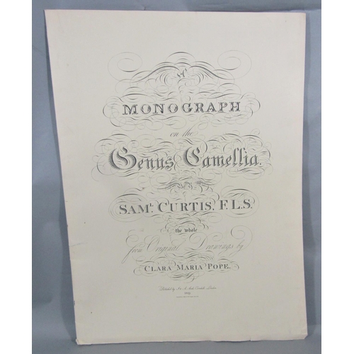 312 - Monograph on the Genus Camellia - Samuel Curtis after drawings by Clara Maria Pope, originally publi... 