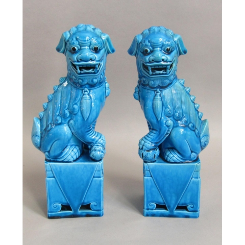 1092 - Pair of oriental turquoise glazed dogs of fo raised on four sided bases, 29.5cm tall approx (2)