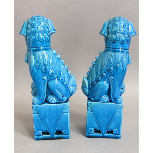 1092 - Pair of oriental turquoise glazed dogs of fo raised on four sided bases, 29.5cm tall approx (2)