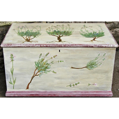 1538 - A 19th century pine blanket box with iron work handles, together with a further 19th century pine bl... 
