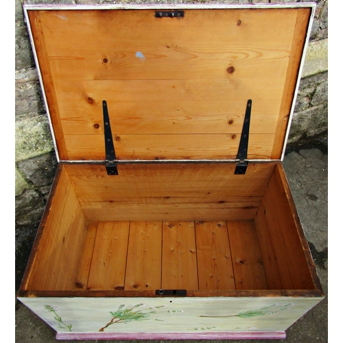 1538 - A 19th century pine blanket box with iron work handles, together with a further 19th century pine bl... 