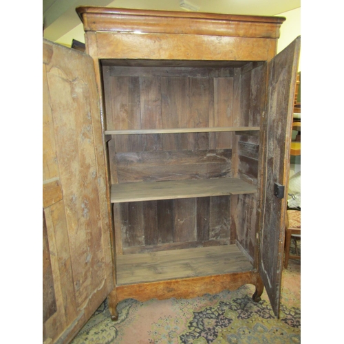 2359 - 18th century fruitwood armoire enclosed by two panelled doors with brass fittings, the interior encl... 